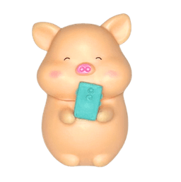 Selfie Pig